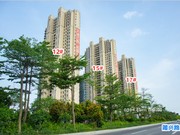 2019年7月工程進(jìn)度