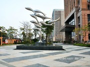 2017年3月1日實(shí)景圖