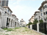 2020年3月工程進(jìn)度