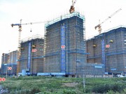 2020年7月29日工程進(jìn)度