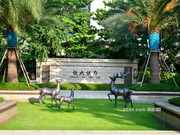 2020年8月20日實(shí)景圖