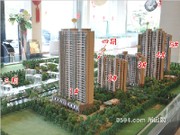 2015年1月沙盤(pán)