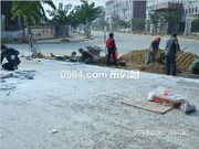 工程進(jìn)度圖