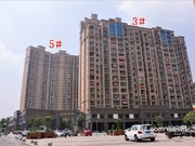 2015年8月工程進(jìn)度圖