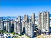 工程進(jìn)度圖