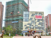 2016年2月工程進(jìn)度