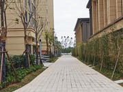 2022年1月工程進度