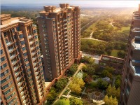 項(xiàng)目效果圖