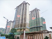 2019年7月工程進度