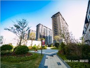 三期小區(qū)實景