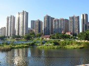 2019年8月7日實(shí)景圖