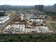 2020年11月工程進(jìn)度圖