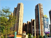 2014年11月8日小區(qū)景觀