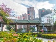 2017年11月工程進(jìn)度