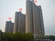 工程進(jìn)度圖