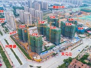 2020年5月工程進(jìn)度圖