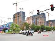 2020年8月5日工程進度