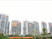 2020年3月工程進(jìn)度圖