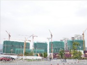 2012年1月工程進(jìn)度