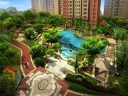 中央社區(qū)鳥(niǎo)瞰