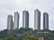 2019年1月工程進(jìn)度