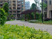 項(xiàng)目實(shí)景圖