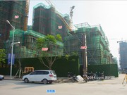 2019年6月工程進度