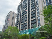 2019年5月工程進(jìn)度