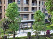 2020年5月13日工程進(jìn)度