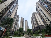 小區(qū)實(shí)景