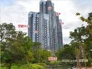 2015年10月工程進(jìn)度實(shí)景圖