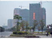 2016年1月工程進(jìn)度圖