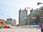 2020年3月25日工程進度