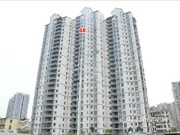 2016年11月工程進(jìn)度圖