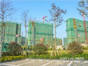 2016年2月工程進度