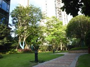 2019年8月7日實(shí)景圖