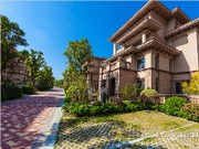 項(xiàng)目實(shí)景圖