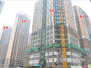 2016年1月份工程進度