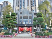 2019年12月25日工程進(jìn)度