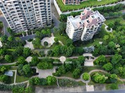 2019年8月7日實(shí)景圖