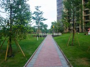 一期小區(qū)實(shí)景圖