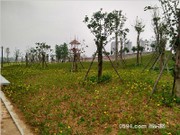 濱溪公園實(shí)景