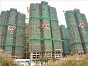 2015年12月29日工程進度