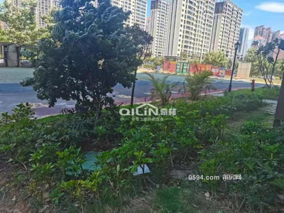 濱江雅郡A區(qū) 邊套4房南北通透 樓梯價(jià)7000一平 誠心賣-莆田二手房