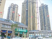 2016年1月工程進度實景圖