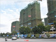 2019年1月工程進(jìn)度