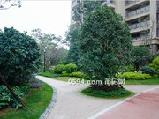 2018年1月工程進(jìn)度