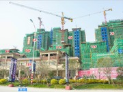 2019年3月工程進(jìn)度