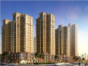 項(xiàng)目效果圖