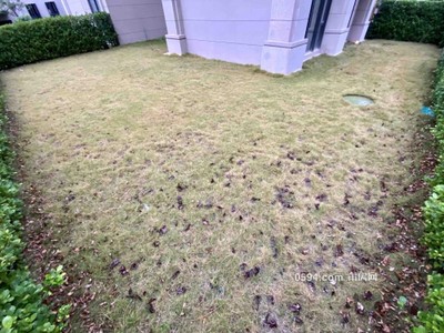 城北保利公園別墅5房贈(zèng)送地下室大花園829萬(wàn)快來(lái)??！-莆田二手房